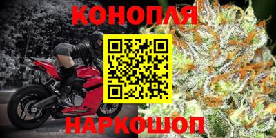 винт Ливны
