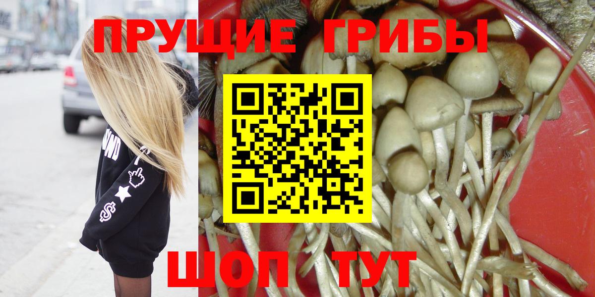 Псилоцибиновые грибы Psilocybine cubensis  Галлюциногенные грибы Cubensis  Вход с VPN  Заводоуковск 